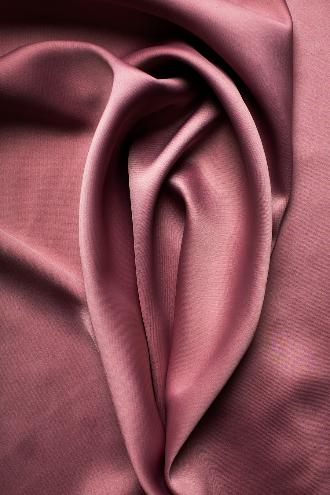 The Vulva | Her Wellness Clinic | Northside Gynaecology | Brisbane