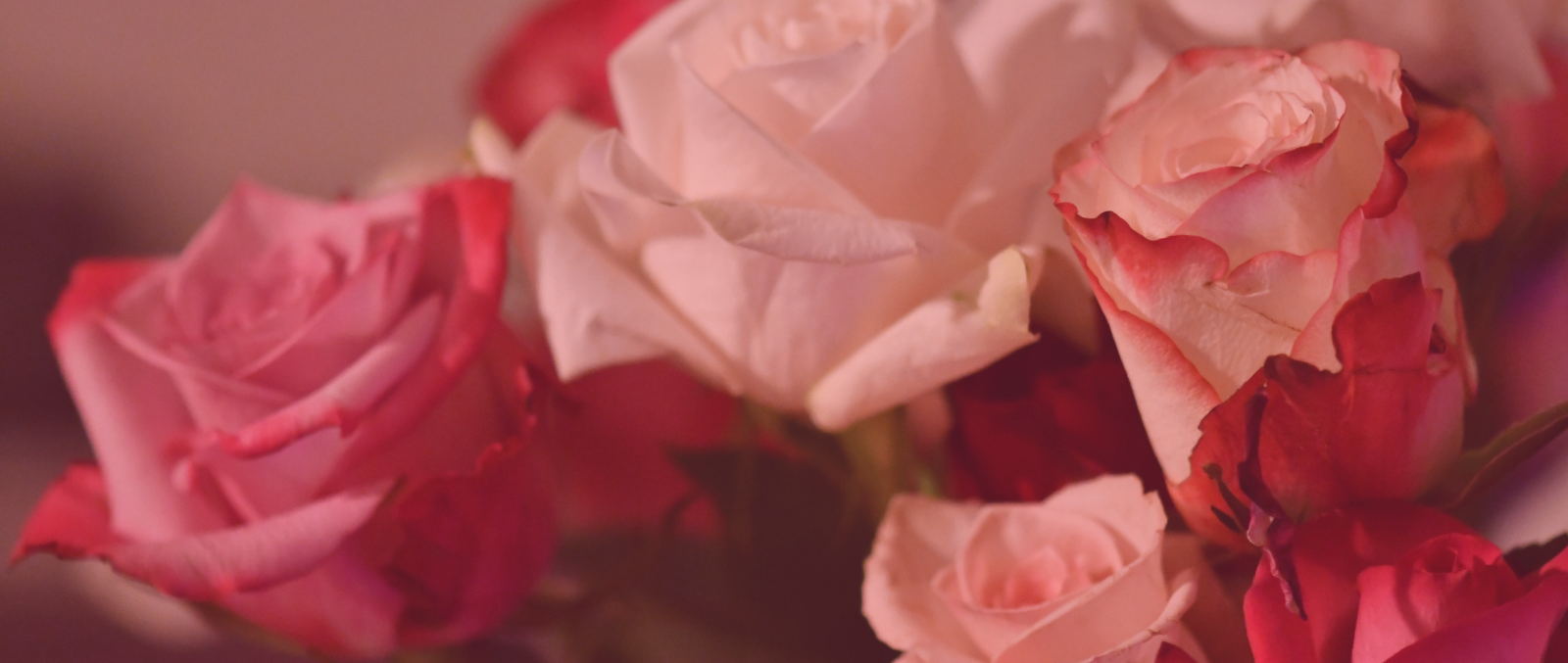 A Gynaecologist’s Guide to Valentines Day - Northside Gynaecology